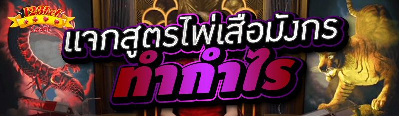 แจกสูตรไพ่เสือมังกรทำกำไร